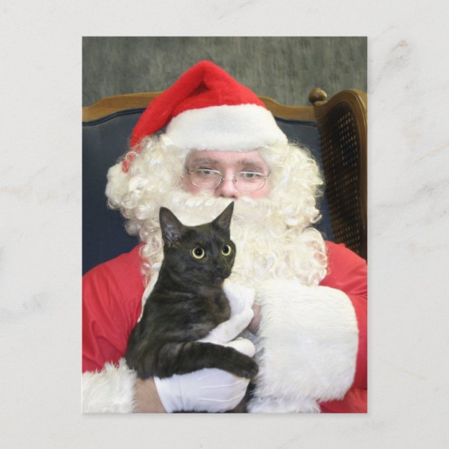 Cat and Santa Claus Holiday Postcard (Front)