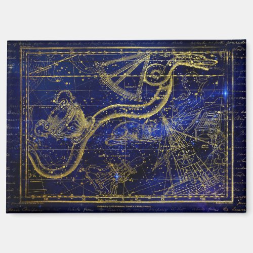 cat and snake constellation magnet