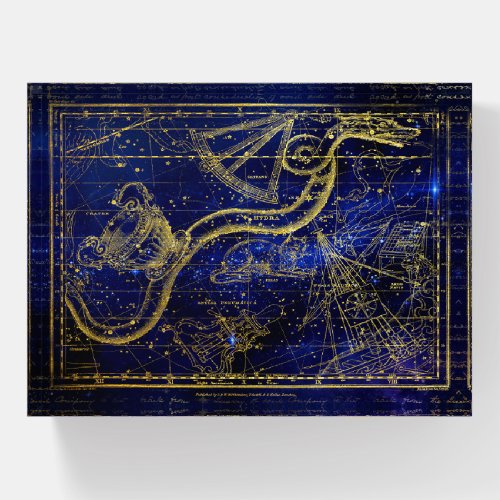 cat and snake constellation paperweight