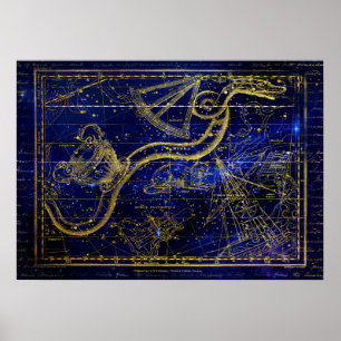cat and snake constellation poster