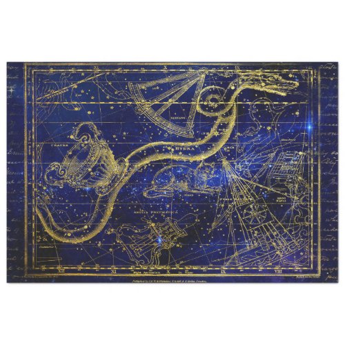 cat and snake constellation tissue paper