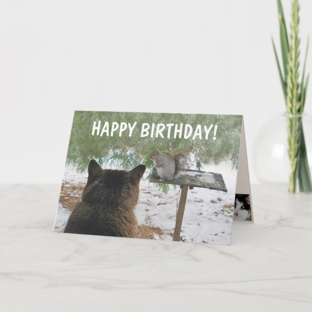 Cat And Squirrel Funny Birthday Card (Front)