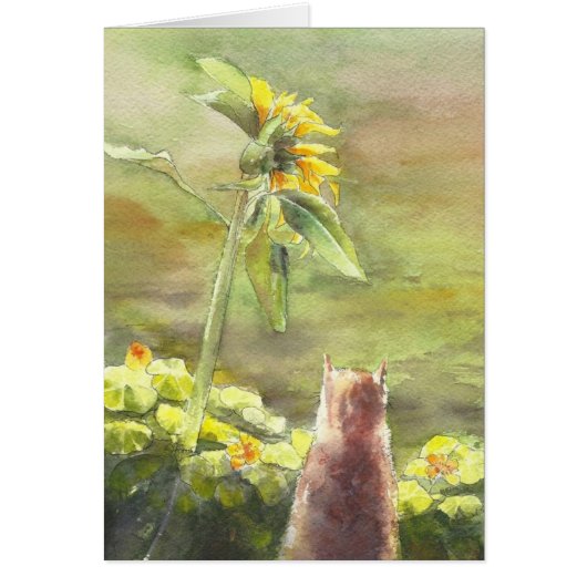 Cat and Sunflower Cards (Front)