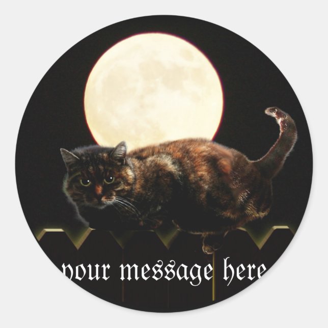 Cat and the Full Moon Classic Round Sticker (Front)