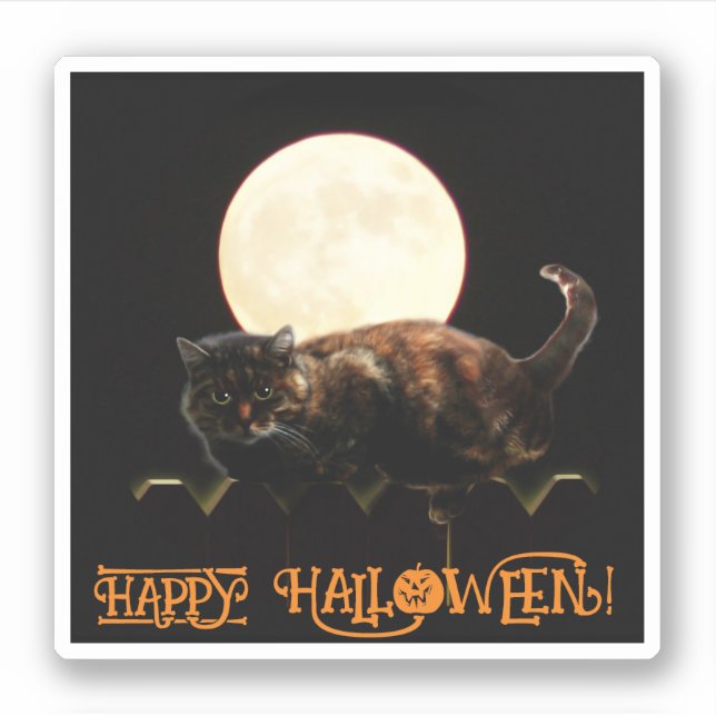Cat and the Full Moon Sticker (Front)