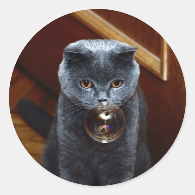 Cat and the soap bubble classic round sticker (Front)