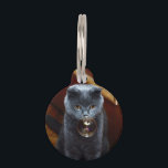 Cat and the soap bubble pet ID tag<br><div class="desc">cat cats puppy animal , kittens pet kitten kitty , meow feline tabby british,  shorthair grey sitting bubble , animals cute gray domestic , whiskers soap little animal,  cool cat cats puppy , animal kittens pet kitten,  kitty meow feline tabby</div>