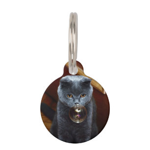 Cat and the soap bubble pet ID tag