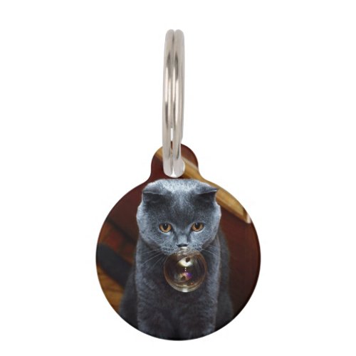 Cat and the soap bubble pet ID tag