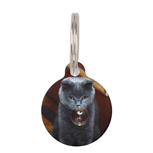 Cat and the soap bubble pet ID tag (Front)