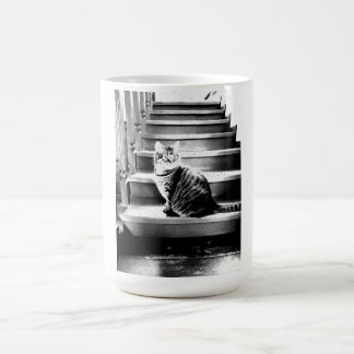 Cat and the stairs coffee mug