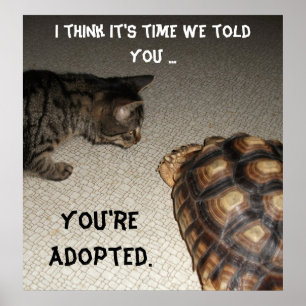 Cat and Tortoise - "You're Adopted" Poster
