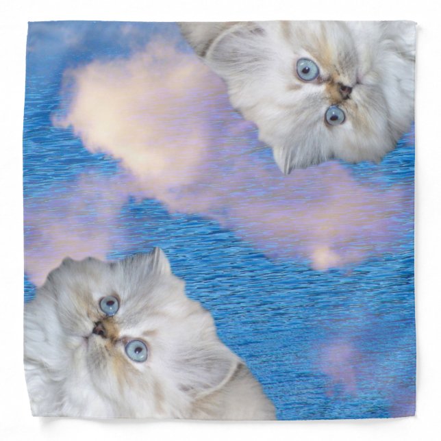 Cat and Water Bandana (Front)