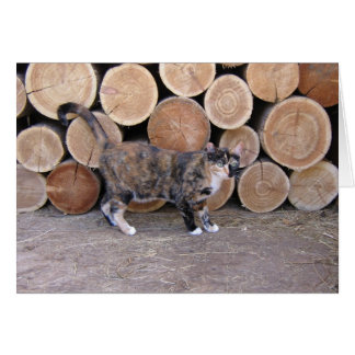 Cat and woodpile card