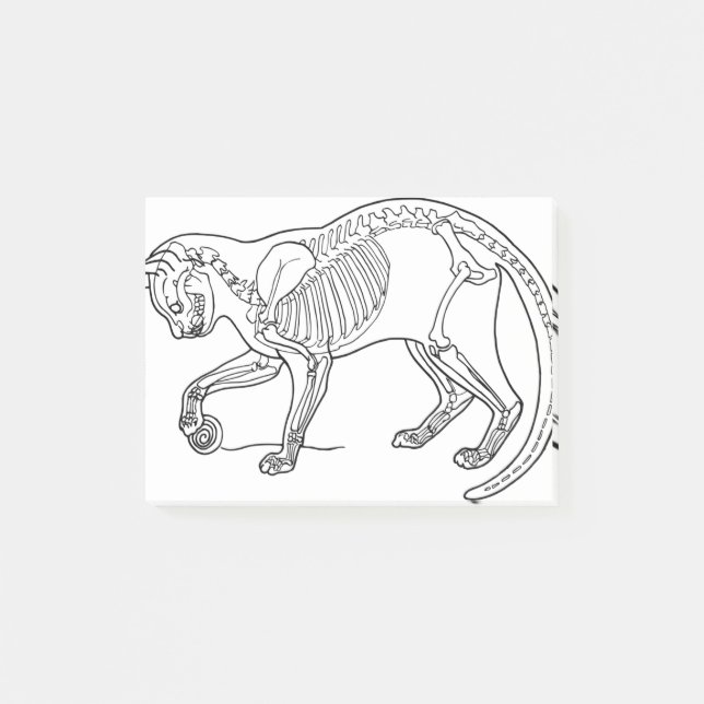 Cat Animal Bones Skeleton Line Art Biology Post-it Notes (Front)