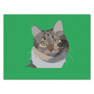 Cat Animal Pet Illustration Cat Lover