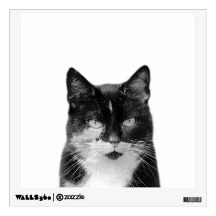 Cat animal photography pet black and white wall sticker