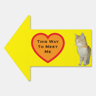 Cat Arrow Direction Sign
