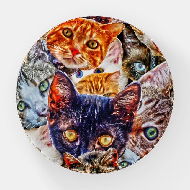 Cat Art Pattern Paperweight (Front)