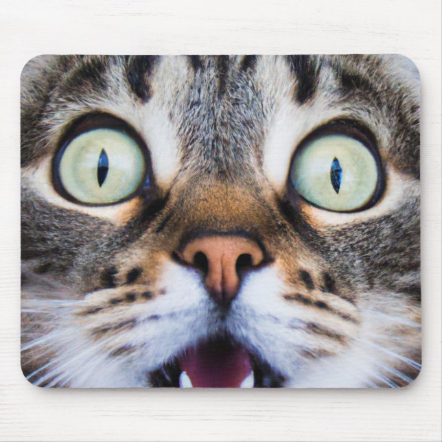 Cat Art | Surprised Kitty | Funny Kitten Mousepad (Front)