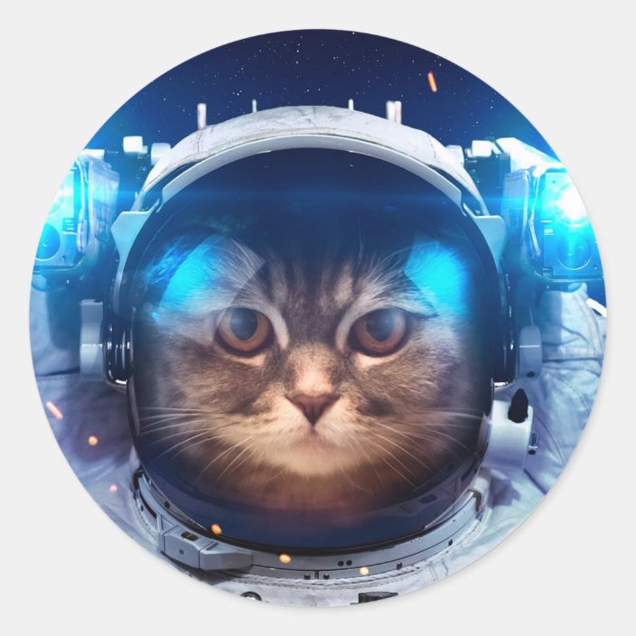 Cat Astronaut Cats In Space Cat Space Classic Round Sticker Zazzle Com