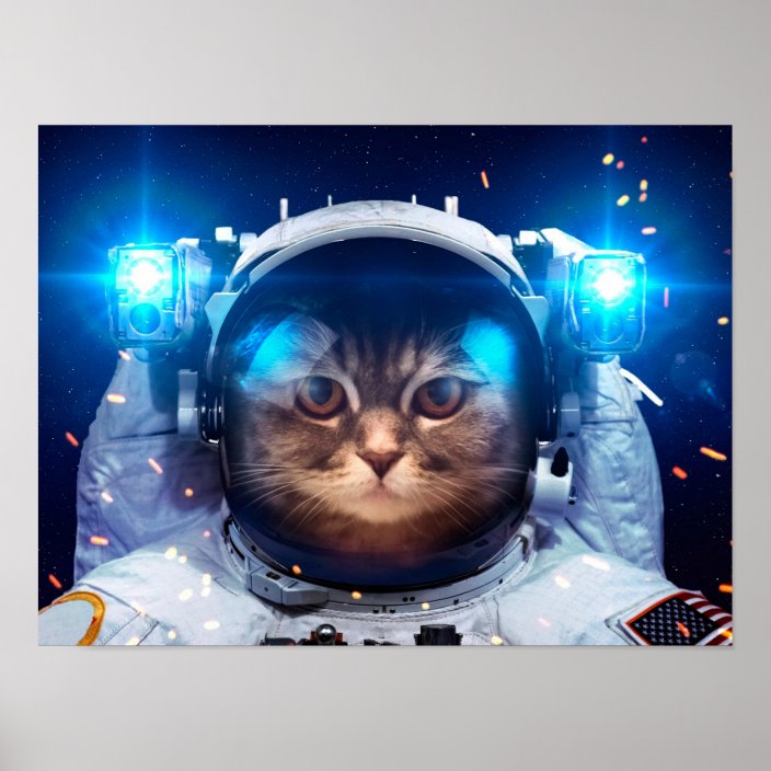 Cat Astronaut Cats In Space Cat Space Poster Zazzle Com