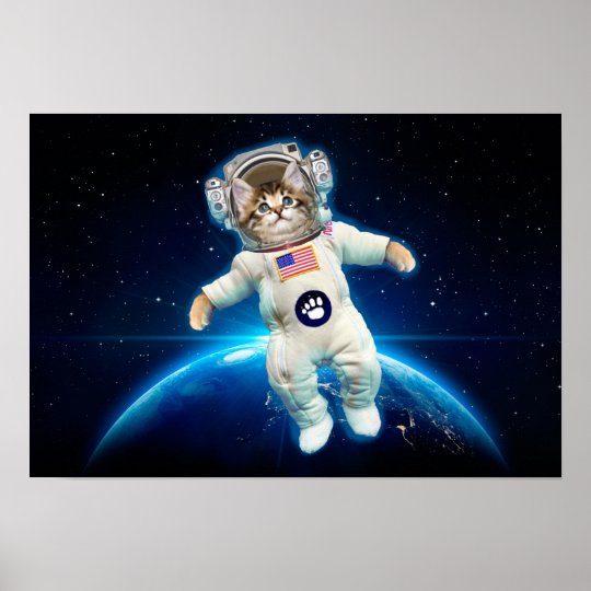 kitten astronaut