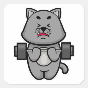 Cat at Biceps training with Barbell Square Sticker