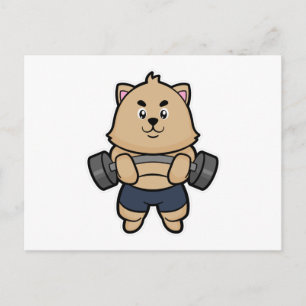 Cat at Bodybuilding with Barbell Postcard