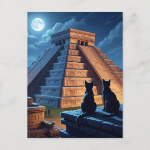 Cat at Chichen Itza Mexico Night Postcard