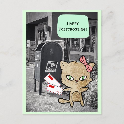 Cat at Mailbox Postcrossing Postcard