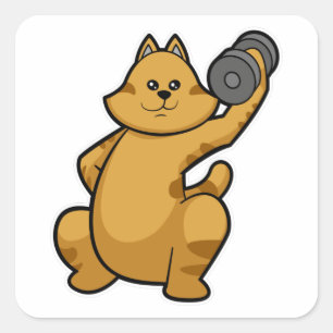 Cat at shoulder training with Dumbbell Square Sticker