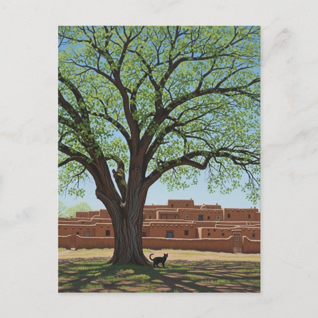Cat at Taos Pueblo New Mexico Postcard (Front)