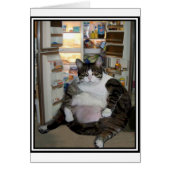 CAT AT THE FRIDGE (Front)