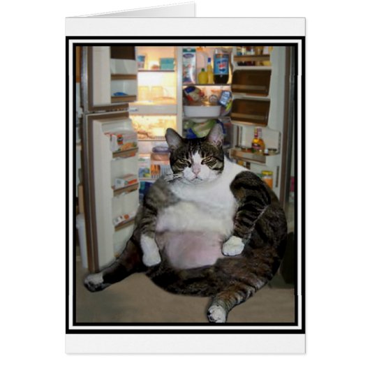 CAT AT THE FRIDGE CARDS (Front)