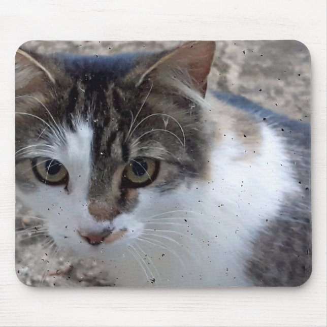 Cat at the window mouse pad (Front)