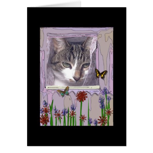 Cat at Window Cards (Front)