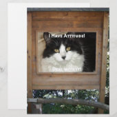 Cat Attitude (Front/Back)
