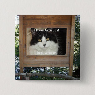 Cat Attitude Button