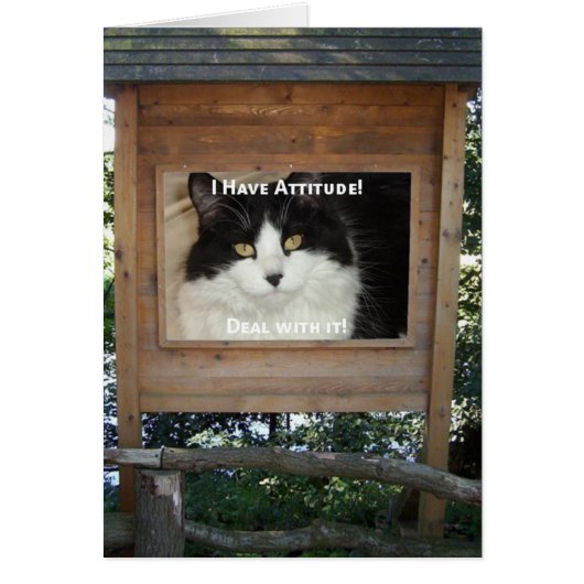 Cat Attitude Cards (Front)
