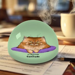 Cat. Attitude Funny Paperweight