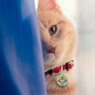 Cat Attitude Funny Pet ID Tag