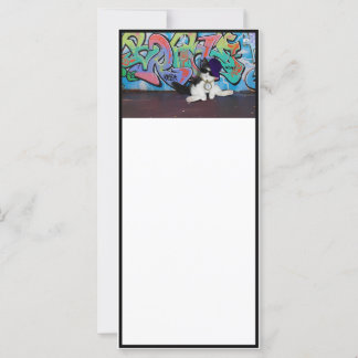 Cat Attitude.....Kitten and Graffiti Wall