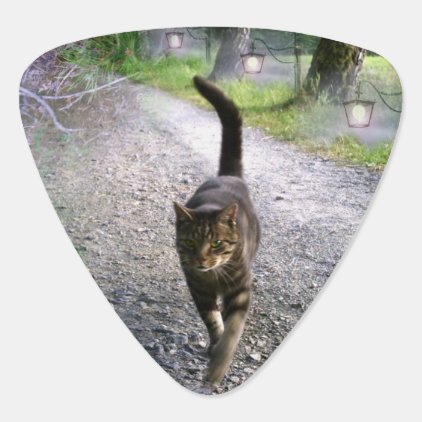 Cat Avenue Guitar Pick