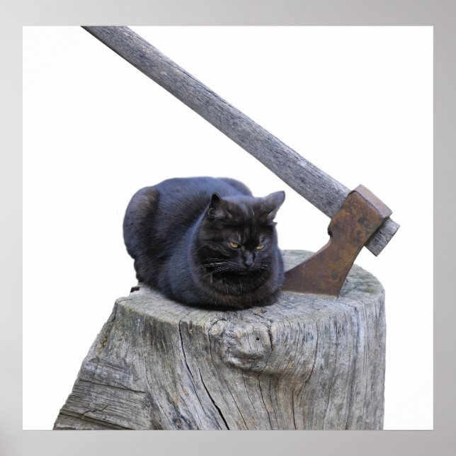 cat, ax and life poster (Front)