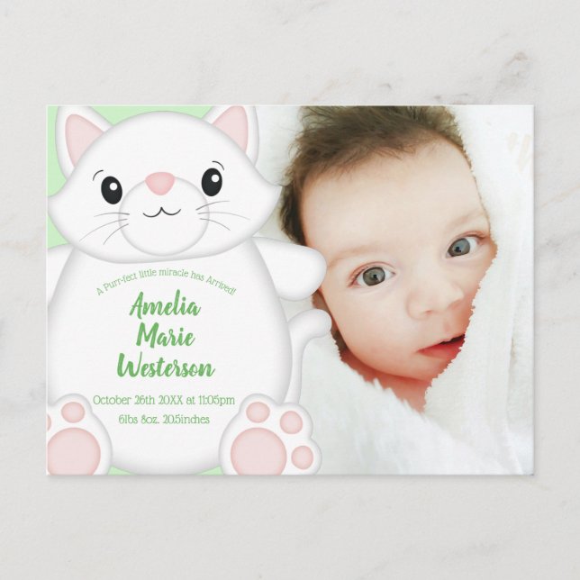 Cat Baby Shower Kitty Postcard (Front)