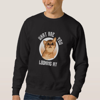 Cat Baby What Are You Looking At Sweatshirt