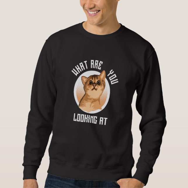 Cat Baby   What Are You Looking At Sweatshirt (Front)