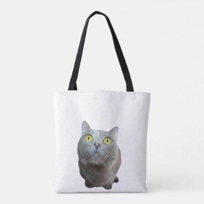 Cat bag