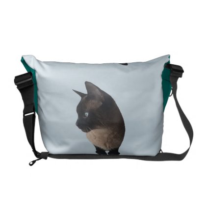 CAT BAG (siamese cat backpack)